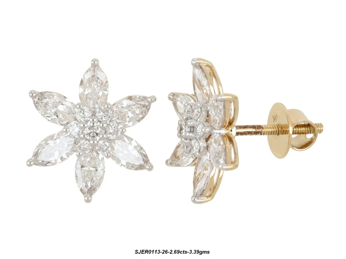 Earring 24 product