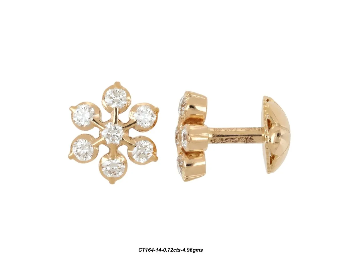 Earring 50 product